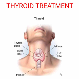 WhatsApp-Image-2023-05-29-at-13.09.18