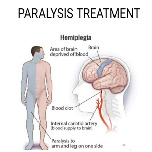 WhatsApp-Image-2023-05-29-at-13.09.19-1